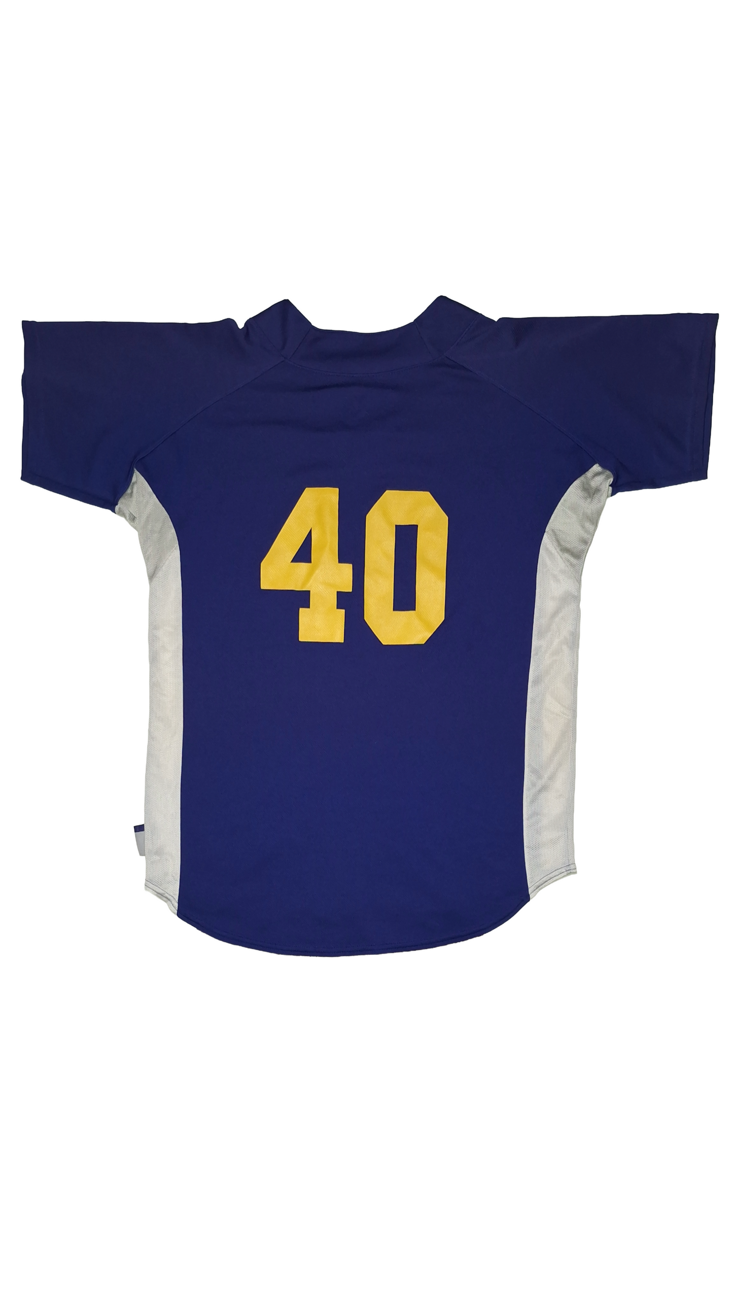 Majestic Lyons Blue And Yellow Baseball Jersey